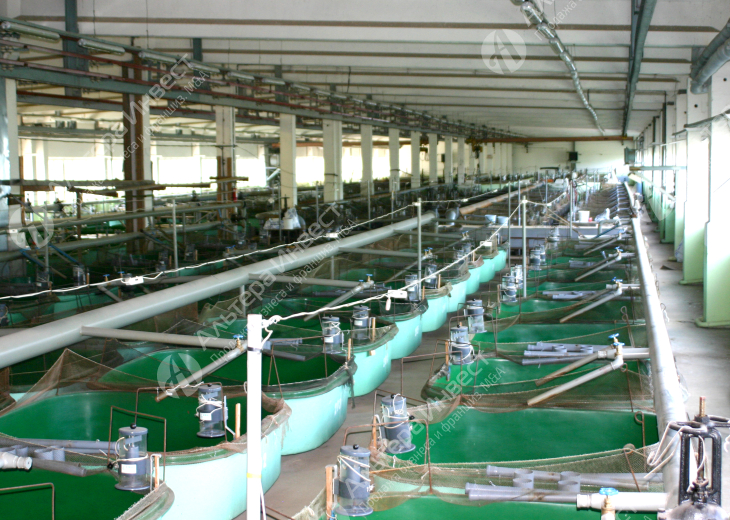 Рыболовный завод с ремонтно-маточным стадом осетровых Фото - 2