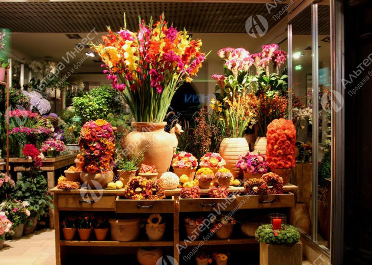 Красивый магазин цветов на Белорусской Фото - 1