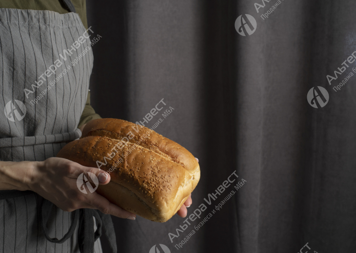 Пекарня с подтвержденной прибылью 225 тыс.р. Фото - 1