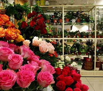 Магазин цветов 