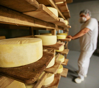 Производство сырной продукции