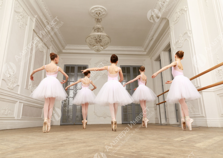Школа балета. Чистая прибыль 300 000 рублей в месяц Фото - 1