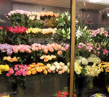 Салон цветов с раскрученным интернет-магазином