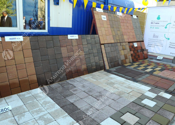 Завод по производству тротуарной плитки с сервисом по укладке Фото - 4