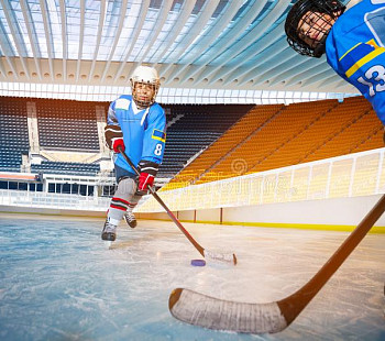 Хоккейный тренировочный центр в СЗАО с прибылью от 300 000 рублей
