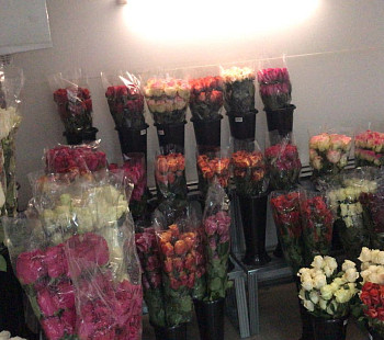 Оптово-розничный магазин цветов с низкой арендой платой