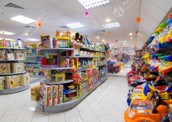 Перспективный магазин детских игрушек с базой постоянных клиентов 750 человек Фото - 1