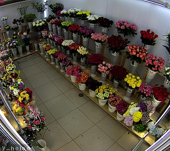 Магазин цветов 150т.р. чистая прибыль метро Волоколамская