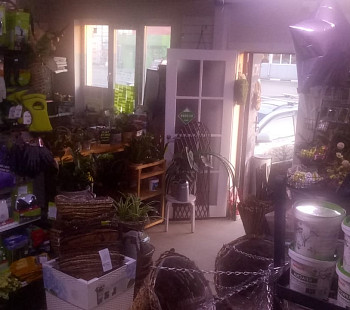 Садово-цветочный магазин на оживлённом шоссе