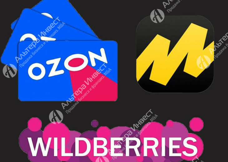 Бизнес с внешним управлением на маркетплейсах Ozon, Wildberries и Яндекс Маркет  Фото - 1