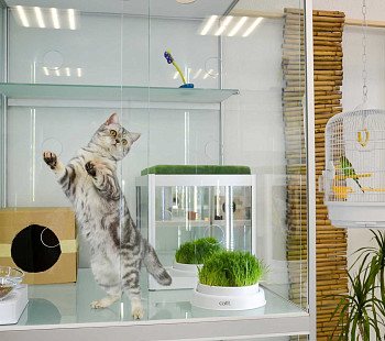 Зоогостиница Booking cat на Ленинском 