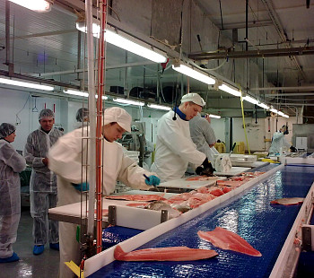 Действующий цех по переработке мяса и рыбы