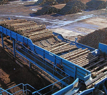 Крупное лесопромышленное предприятие в НСО