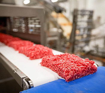 Производство мясных полуфабрикатов с розничной сетью