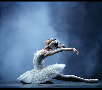 Школа балета известной франшизы, три зала
