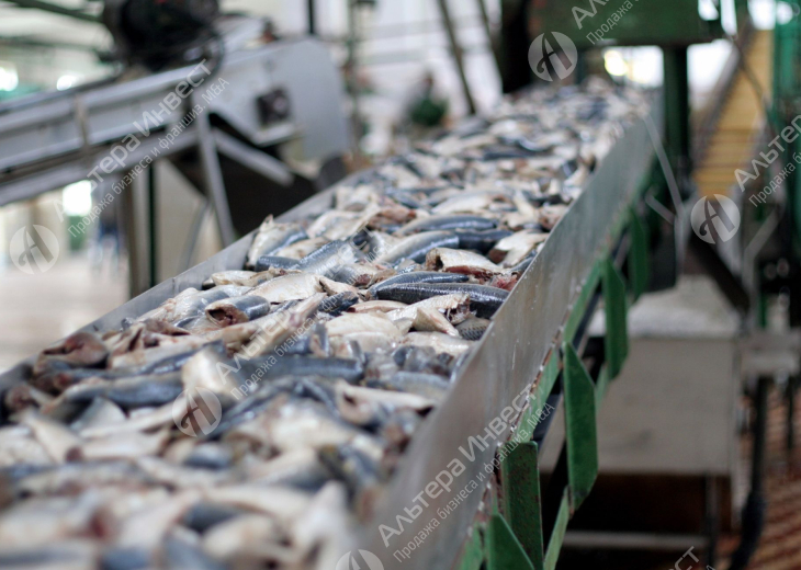 Производство по переработке рыбного сырья в готовую продукцию. Фото - 1