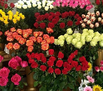Цветочный магазин в Рыбацком более 5 лет работы