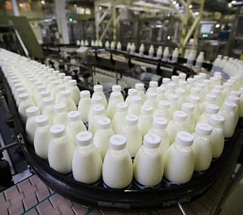 Действующее производство молочной продукции