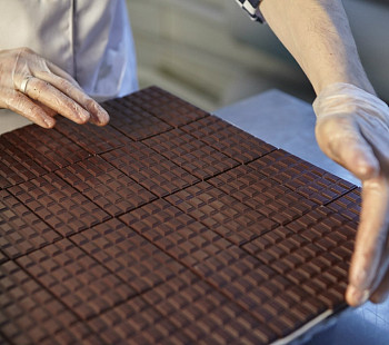 Производство шоколада с налаженным сбытом