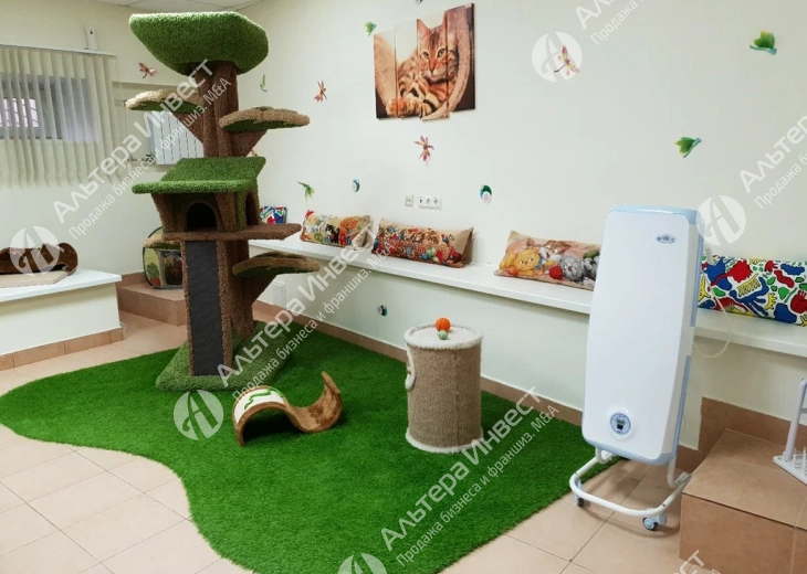 Зоогостиница для котов и кошек с прибылью 78.000 рублей Фото - 1