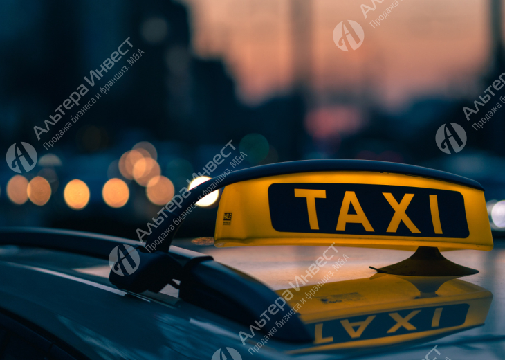Детское такси с налаженными бизнес процессами Фото - 1