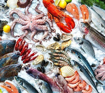 Оптово-розничный магазин морепродуктов с Гос заказами