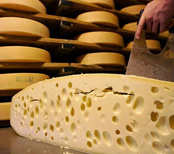 Пищевое производство сыра в Московской области. Бизнес по цене активов