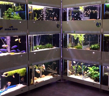 Магазин аквариумов и зоотоваров в Московском районе