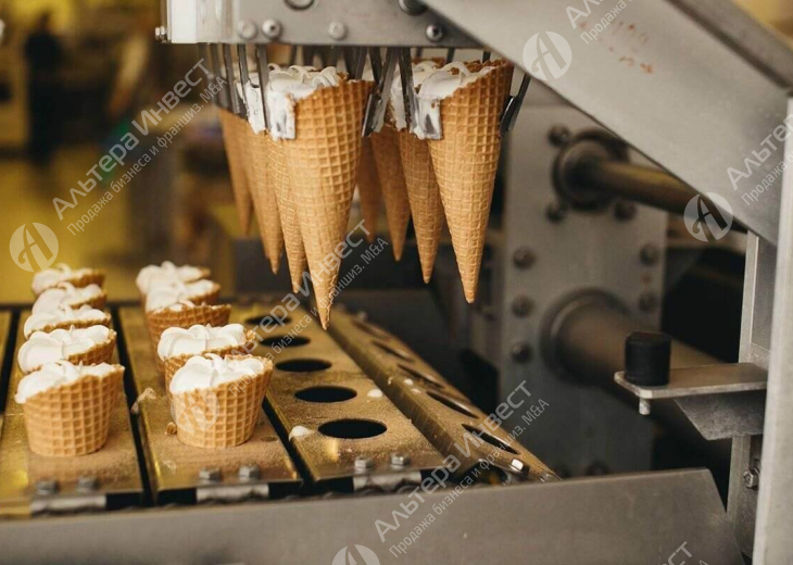 Производство мороженного с точками сбыта.  Фото - 1