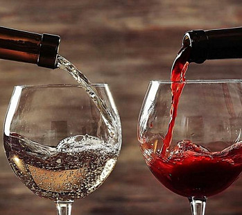 💡 Бизнес-идея: Вино как бизнес: что нужно знать о винодельческом бизнесе