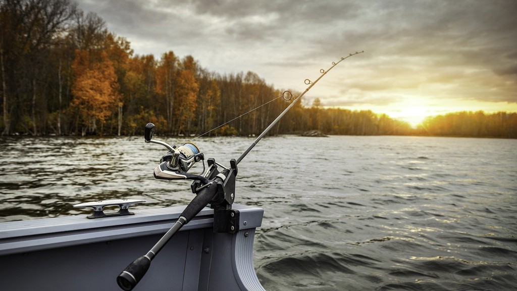 Отличия джига и твича – как выбрать подходящую приманку для рыбалки