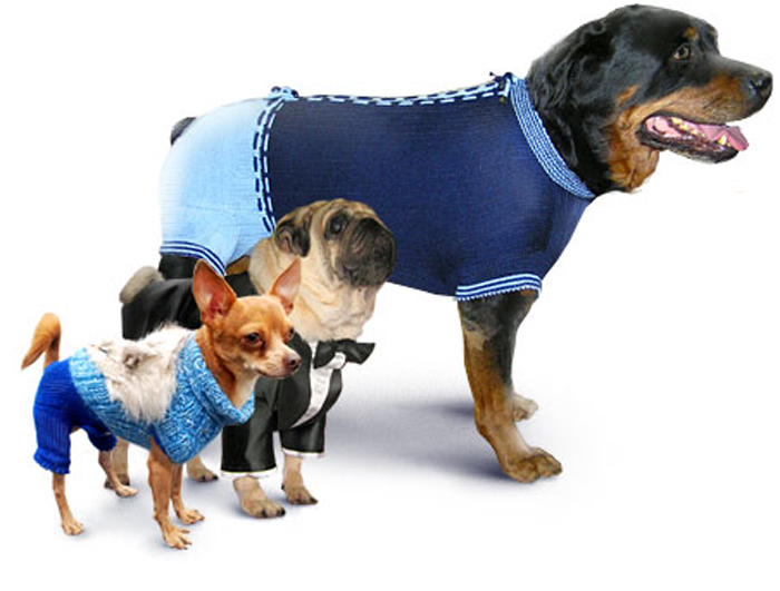Одежда для собак в интернет магазине DoggyBandanas​