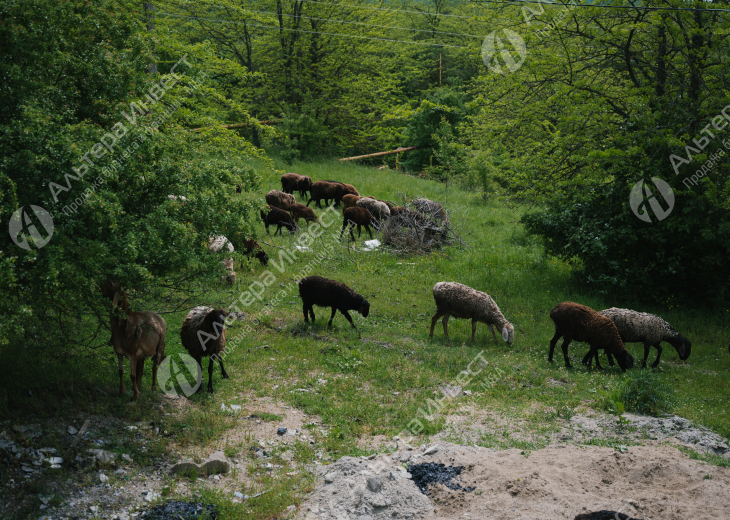 Гостиничный Комплекс в Бакинке (Горячий Ключ). Фото - 40