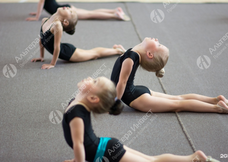 Детский спортивный клуб развивающей гимнастики, Пушкинский район  Фото - 2