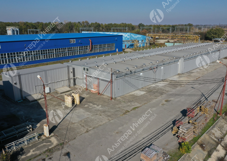 Деревоперерабатывающий Завод в Краснодарском крае. Фото - 7