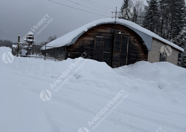 Оптовая Торговля Лесом в Костроме. Аренда 6500 Га. на балансе. Фото - 15
