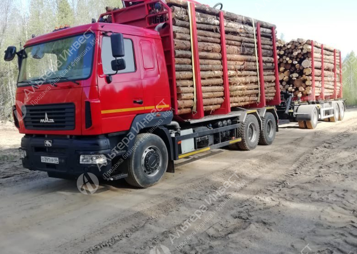 Оптовая Торговля Лесом в Костроме. Аренда 6500 Га. на балансе. Фото - 2