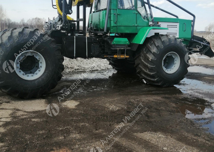 Оптовая Торговля Лесом в Костроме. Аренда 6500 Га. на балансе. Фото - 10