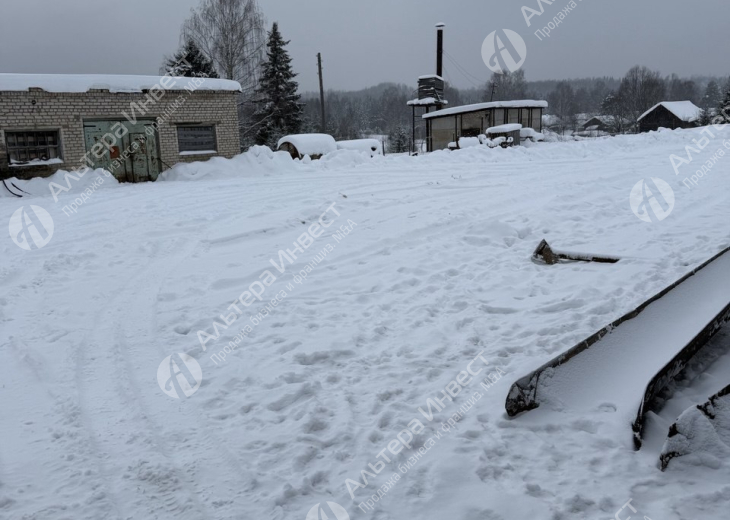 Оптовая Торговля Лесом в Костроме. Аренда 6500 Га. на балансе. Фото - 14
