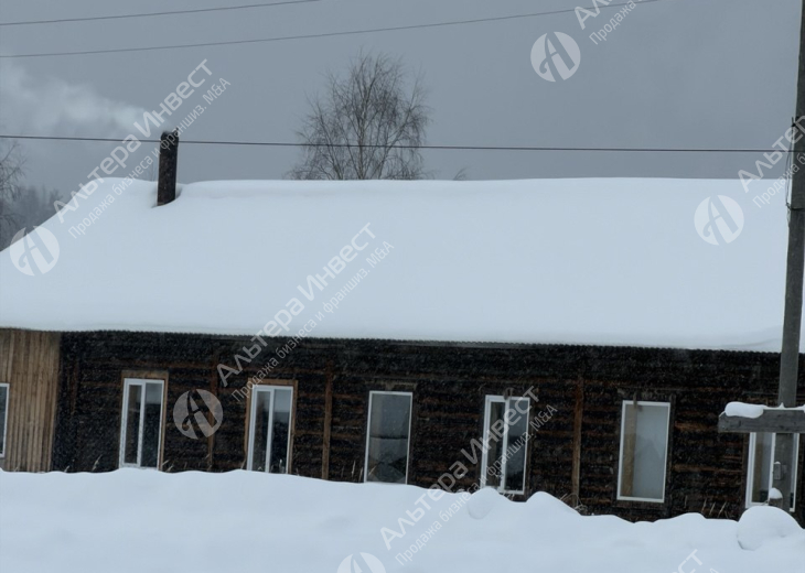 Оптовая Торговля Лесом в Костроме. Аренда 6500 Га. на балансе. Фото - 12