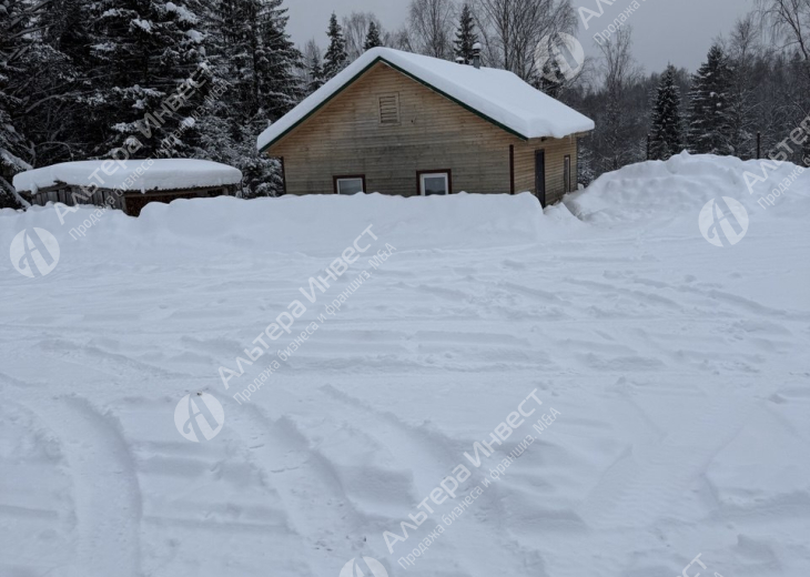 Оптовая Торговля Лесом в Костроме. Аренда 6500 Га. на балансе. Фото - 13