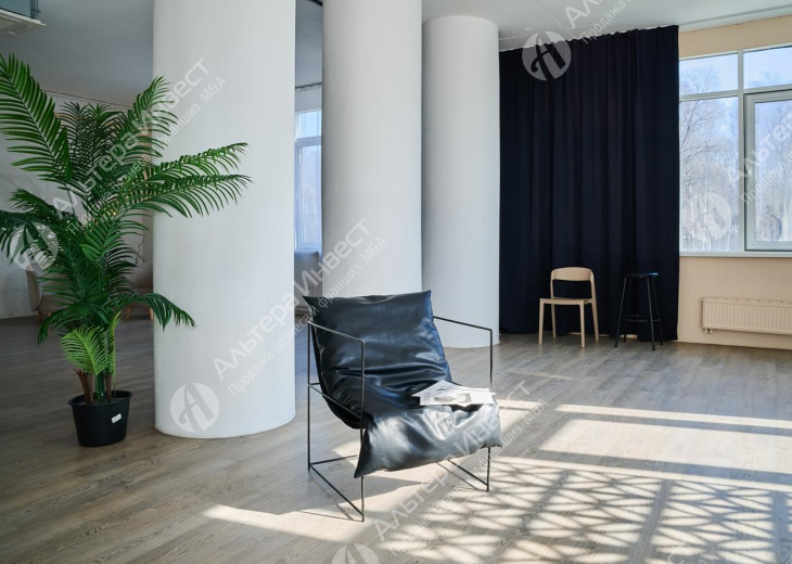 Фотостудия с циклорамой 300 м2 Фото - 6