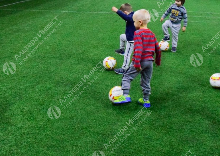 Сеть футбольных школ для детей  Фото - 1