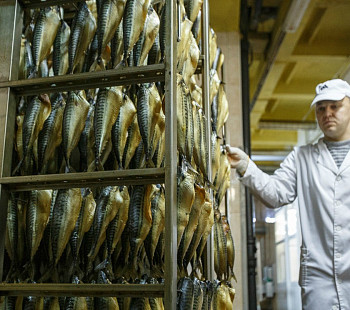 Производство по переработке рыбы и морепродуктов