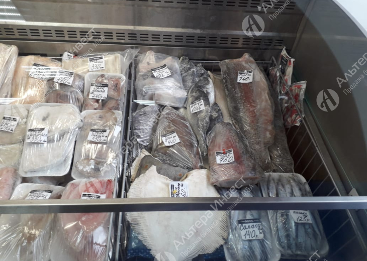 Магазин рыбы и морепродуктов на первой линии Фото - 6