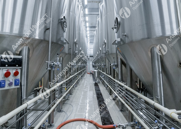 Крупное пивоваренное производство с налаженными каналами сбыта Фото - 1