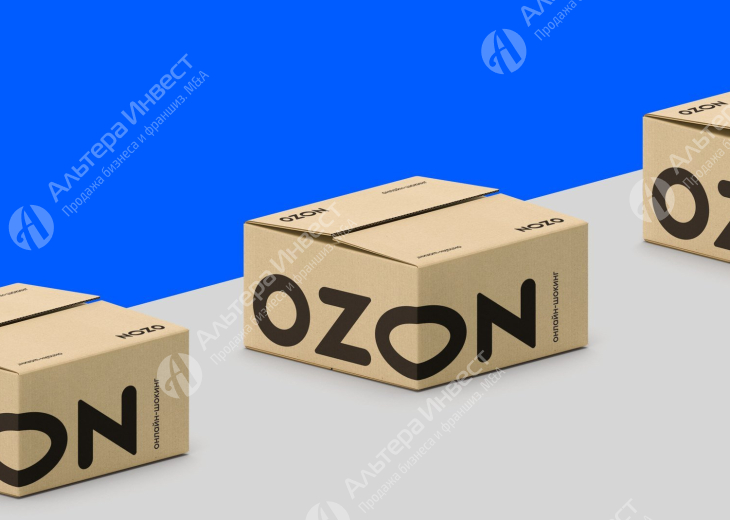 Бизнес на маркетплейсе Ozon Фото - 1