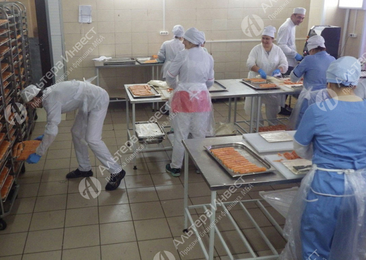 Производство и доставка суши/пиццы с собственным сайтом Фото - 1