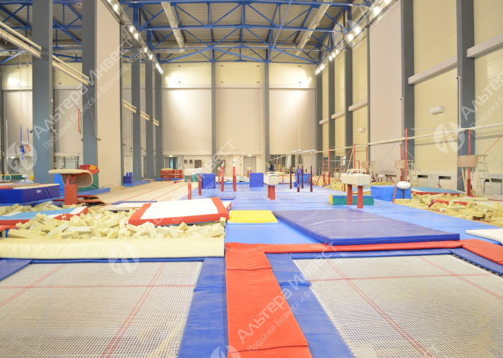 Центры акробатики и спортивной гимнастики. Более 6-ти лет работы Фото - 1