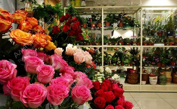 Магазин цветов  Фото - 1